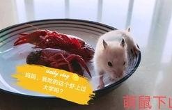 吃瓜娱乐背景板,揭秘娱乐圈幕后那些事儿