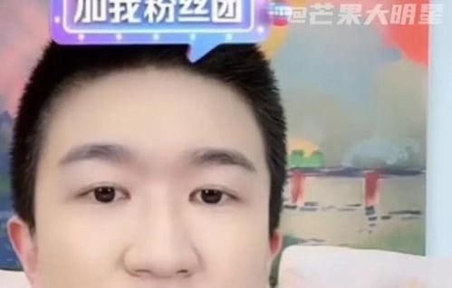 娱乐圈吃瓜事件回顾,盘点那些年我们追过的热点瞬间